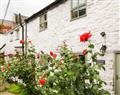 Enjoy a leisurely break at 2 Gwydir Cottages; ; Llanwrst