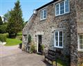 Take things easy at Bluebell at Rivermead; Bodmin Moor; North Cornwall