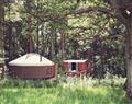 Relax at Cobblers Grove Yurt; Abergavenny; Hereford
