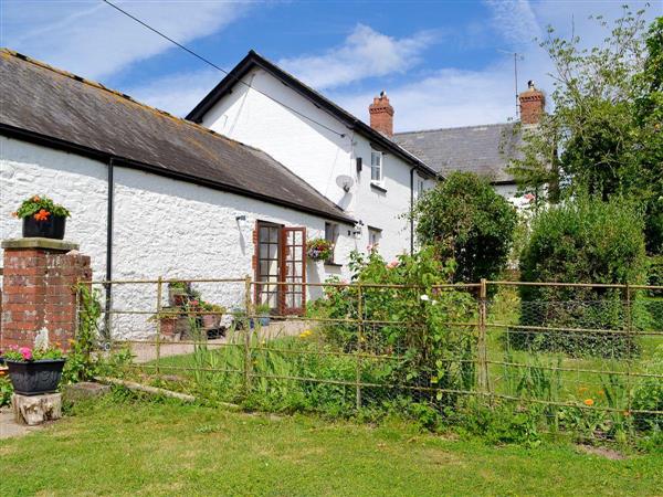 Coed Y Gelli Cottage From Cottages 4 You Coed Y Gelli Cottage Is