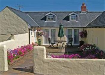 Cowslip Cottage From Wales Cottages Cowslip Cottage Is In Tenby