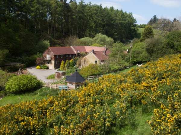 Diddlebury Cottage From Sykes Holiday Cottages Diddlebury Cottage