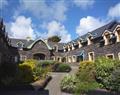 Enjoy a glass of wine at Dingle Courtyard Cottages - Dingle Courtyard - Five; Ireland
