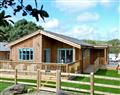 Forget about your problems at Eagle Owl Lodge; Cornwall