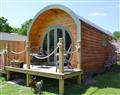 Enjoy a glass of wine at Egmont Farm - The Pod at Egmont; East Sussex