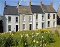 Relax at Goat Street Cottage; ; St Davids