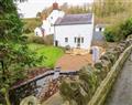 Relax at King Gaddle Cottage; ; Laugharne