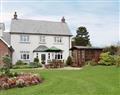 Monkey Puzzle Cottage