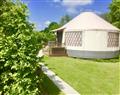 Relax at Oak Yurt; East Hoathly; Sussex