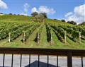 Enjoy a glass of wine at Old Walls Vineyard Lodges - Regent; Devon