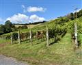 Enjoy a leisurely break at Old Walls Vineyard Lodges - Rondo; Devon
