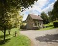 Take things easy at Orchard Cottage (Monmouthshire); Penterry; near Chepstow