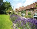 Unwind at Pear Tree Cottage; Wickmere; Near Sheringham