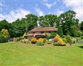 Take things easy at Picket Hill New Forest Retreat - Alices Lodge; Hampshire