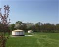 Forget about your problems at Riddlesworth Park Glamping - Harnser; Norfolk