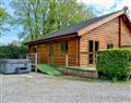 Forget about your problems at Rose Cotterill Cabins - Cedar Lodge; West Glamorgan