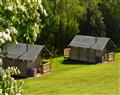Relax at Sierra Safari Tent; Hay on Wye; Herefordshire