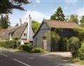 Forget about your problems at Thatched Cottage; Suffolk