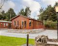 Forget about your problems at Thistle Lodge; Perthshire