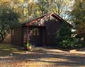 Relax at Tullochwood Lodges - Cluny; Morayshire