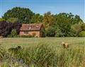 Unwind at Wild Meadow Cottage; Warehorne; England