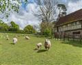 Forget about your problems at Willow Cottage at Frame Farm; Benenden; England