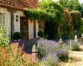 Garden Cottage, Manor House Farm in Wellingham near Kings Lynn - Norfolk