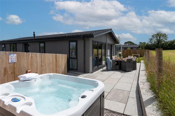 Lavender Lodge, 8 Roadford Lake Lodges - Devon