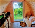 Peaceful pod with bay views, walk to 3 beaches - Cornwall
