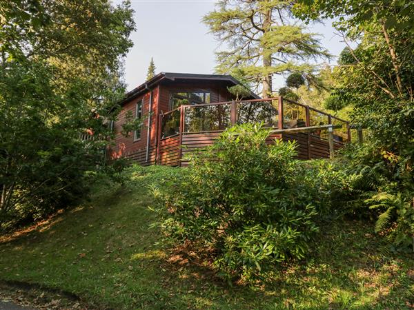 Tree House, Partial Lake Views in Windermere, Cumbria