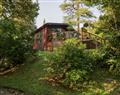 Tree House, Partial Lake Views - Cumbria