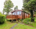Enjoy a glass of wine at Y Bwthyn Pren,  Cabin  209; ; Trawsfynydd