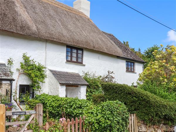 2 Freeland Cottages - Devon