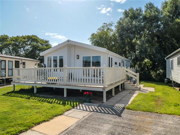 28 Finch in Cayton Bay, North Yorkshire