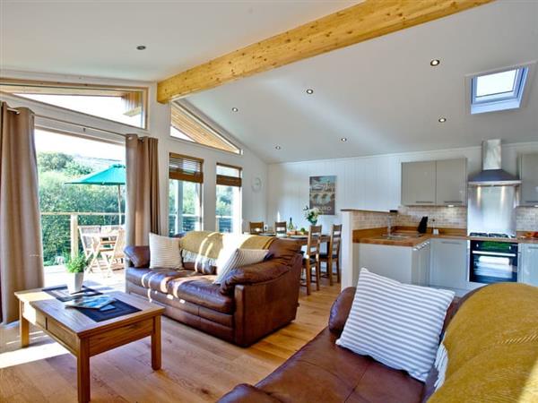 4 Hedgerow - Stonerush Lakes in Lanreath, near Looe, Cornwall