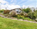 4 Tree Tops - Cornwall