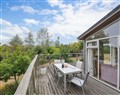 5 Tree Tops - Cornwall