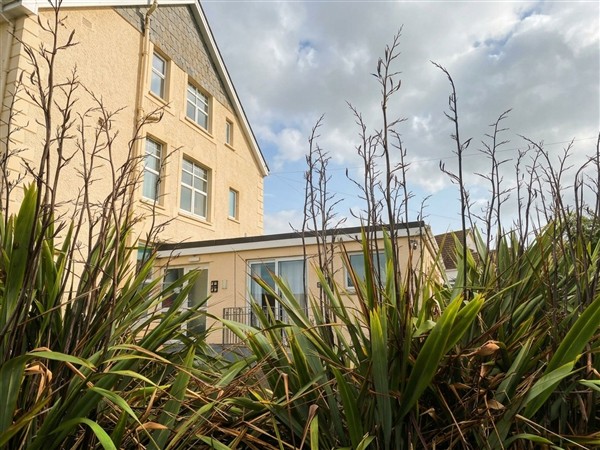 8 Yellow Sands, 