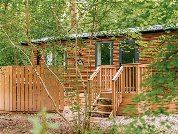 Alford Spa, 