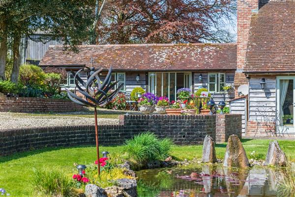 Alpaca Cottage in Dorset