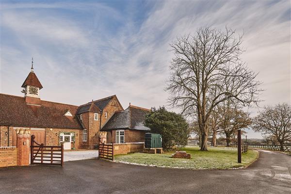 Alpaca House - West Sussex