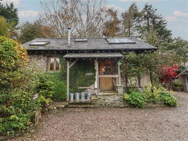 Alpine Cottage - Powys