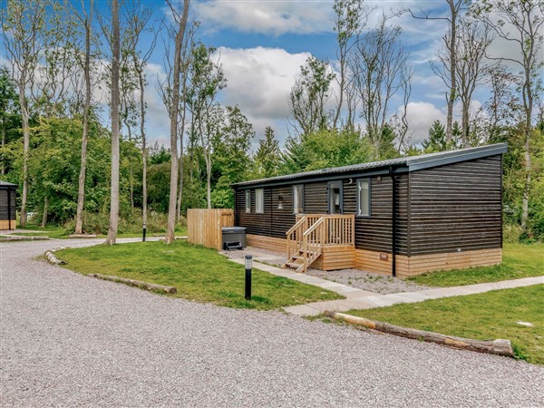 Anderby Spa (Pet), 