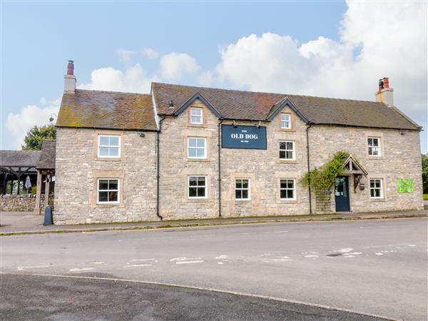 Apartment at The Old Dog in Derbyshire