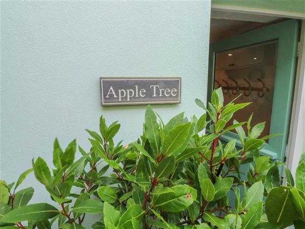 Apple Tree Cottage in Devon