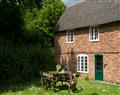 Ash Cottage in Bridport - Dorset
