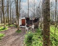 Take things easy at Ashkey Yurt; ; Great Strickland