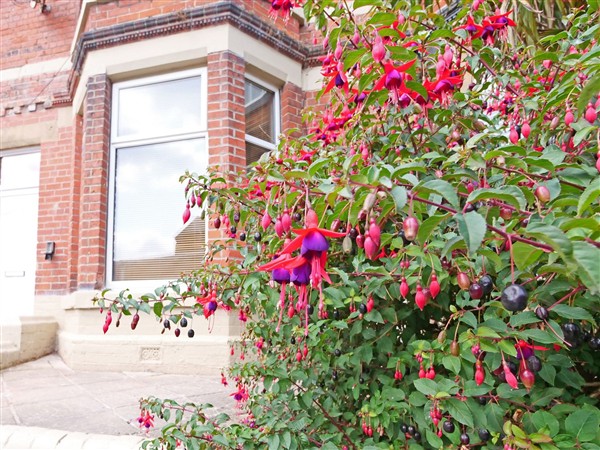Ashville Grange, 