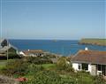 Take things easy at Badgers Cliff; ; Polzeath