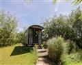 Enjoy your time in a Hot Tub at Barn Owl View; ; Pickstock near Newport